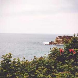 kingkongslot ทิประดับสูง โปร